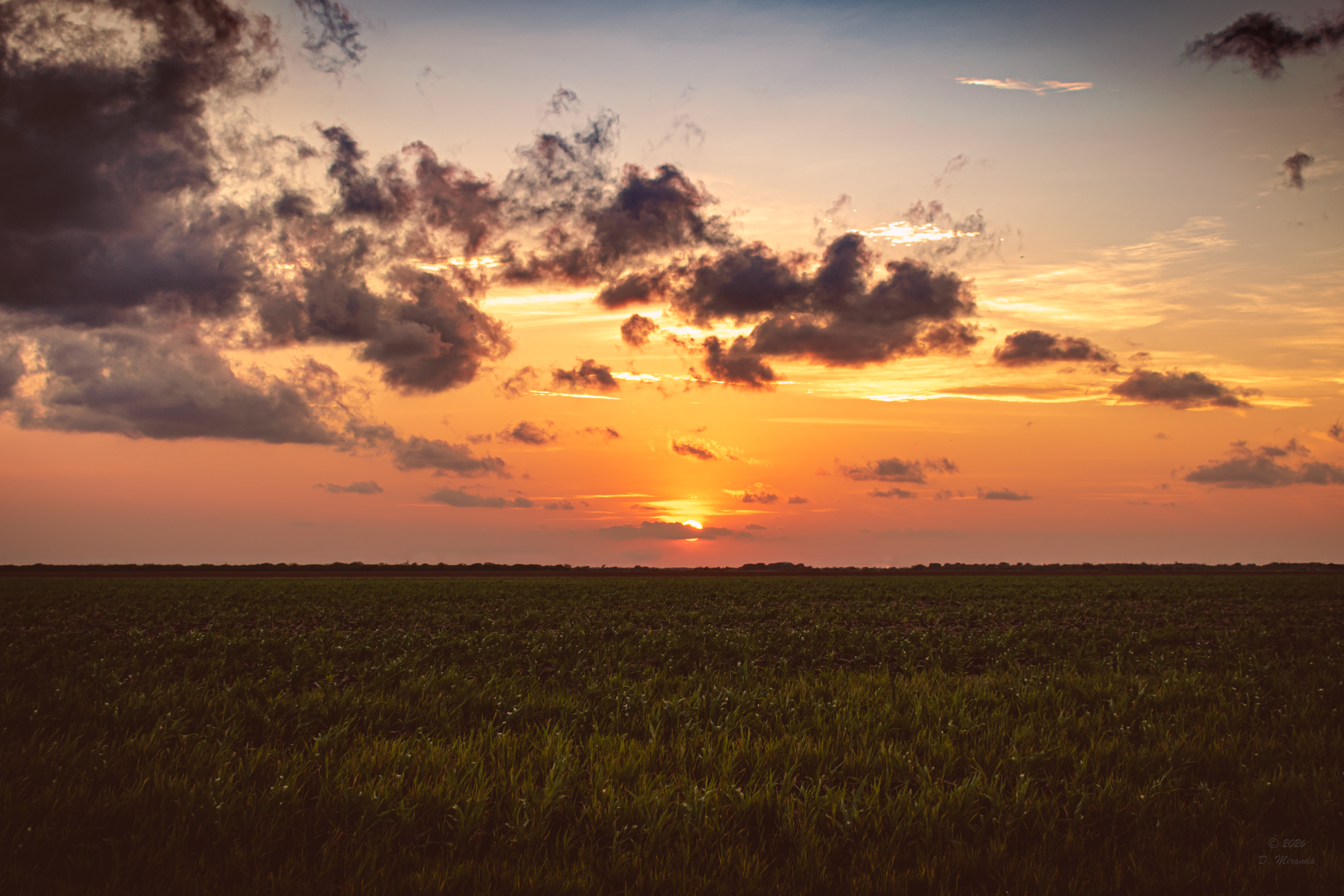 Slide 3: Sunkissed clouds over a coastal Texas horizon